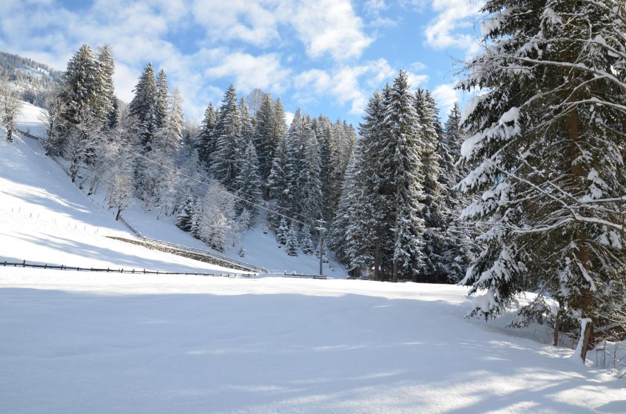 Apartament Haus Am Sunnfeld Alpbach Zewnętrze zdjęcie