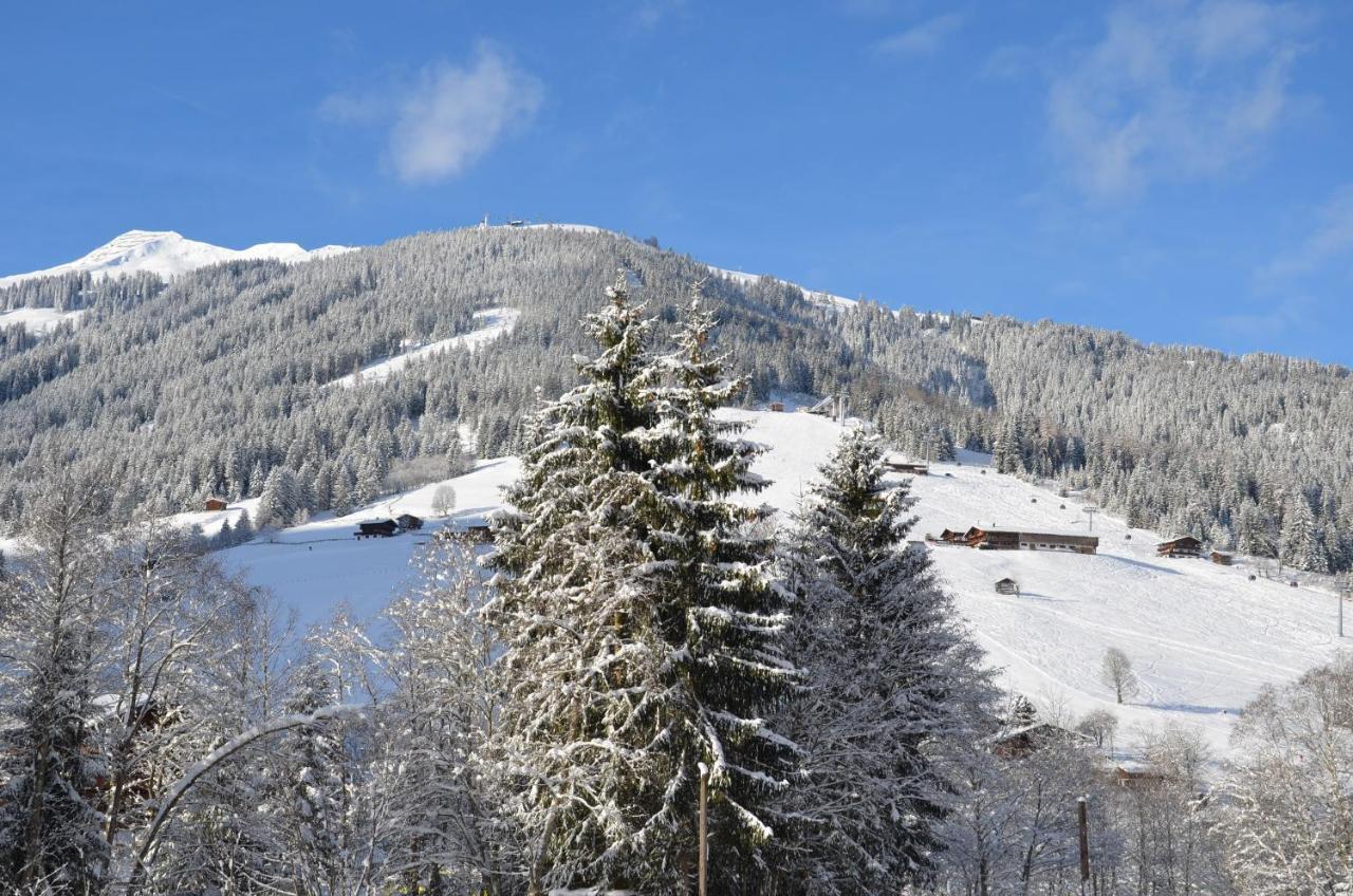 Apartament Haus Am Sunnfeld Alpbach Zewnętrze zdjęcie